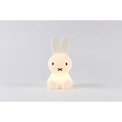 MrMaria Bundle of Light miffy