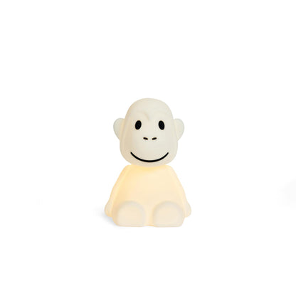 MrMaria First Light monkey