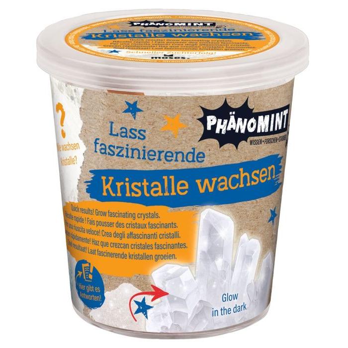 Phänomint Kristalle wachsen
