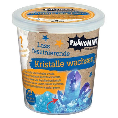 Phänomint Kristalle wachsen