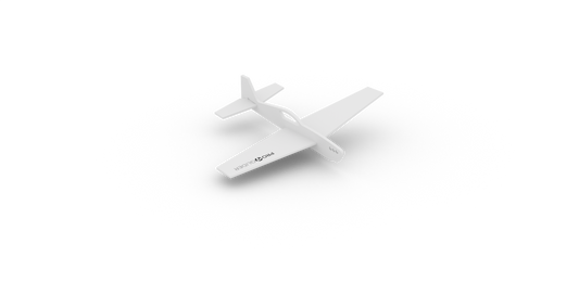 ProGlider Wurfgleiter