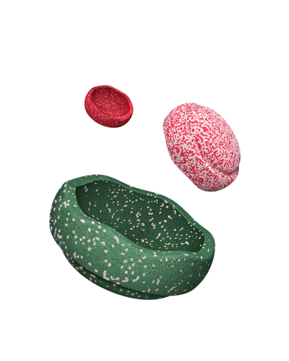 Stapelstein Blush Special Trilogy Set