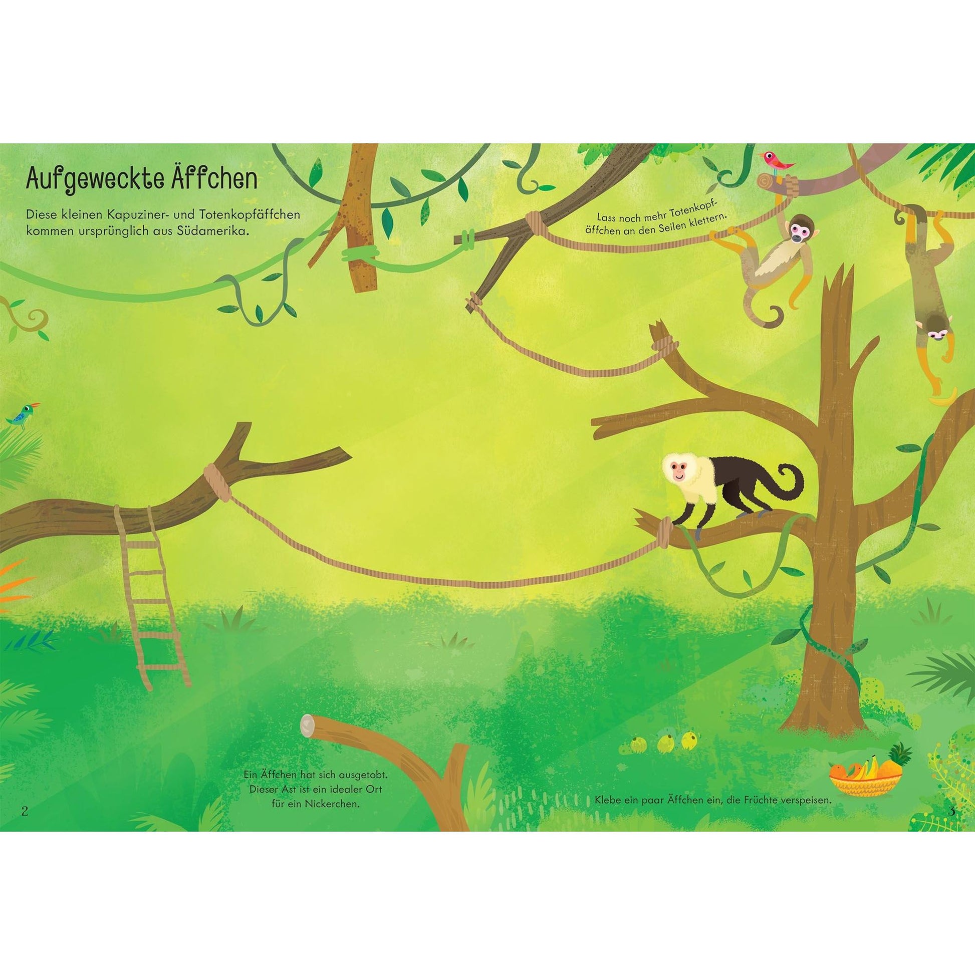 Usborne - Mein Immer-wieder-Stickerbuch: Tiere im Zoo