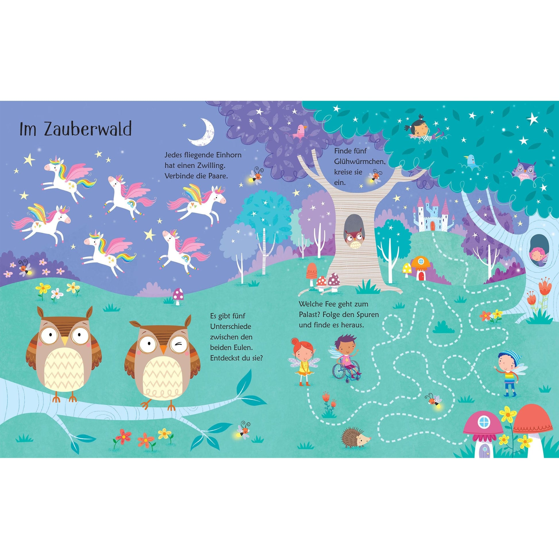 Usborne Mein wisch und weg Buch Feen