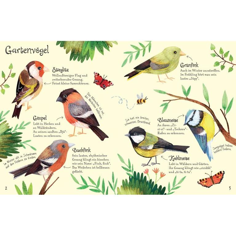 Usborne Minis - Naturführer Vögel