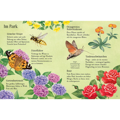 Usborne Minis Naturführer entdecke den Sommer