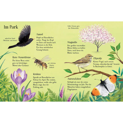 Usborne minis Naturführer - Entdecke den Frühling