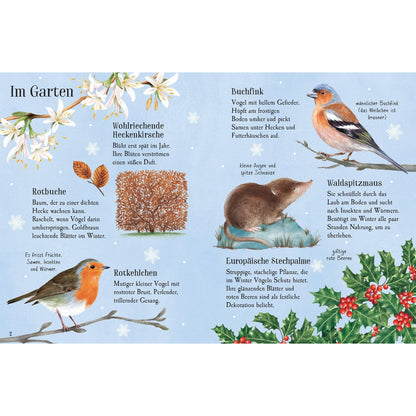 Usborne minis Naturführer - Entdecke den Winter