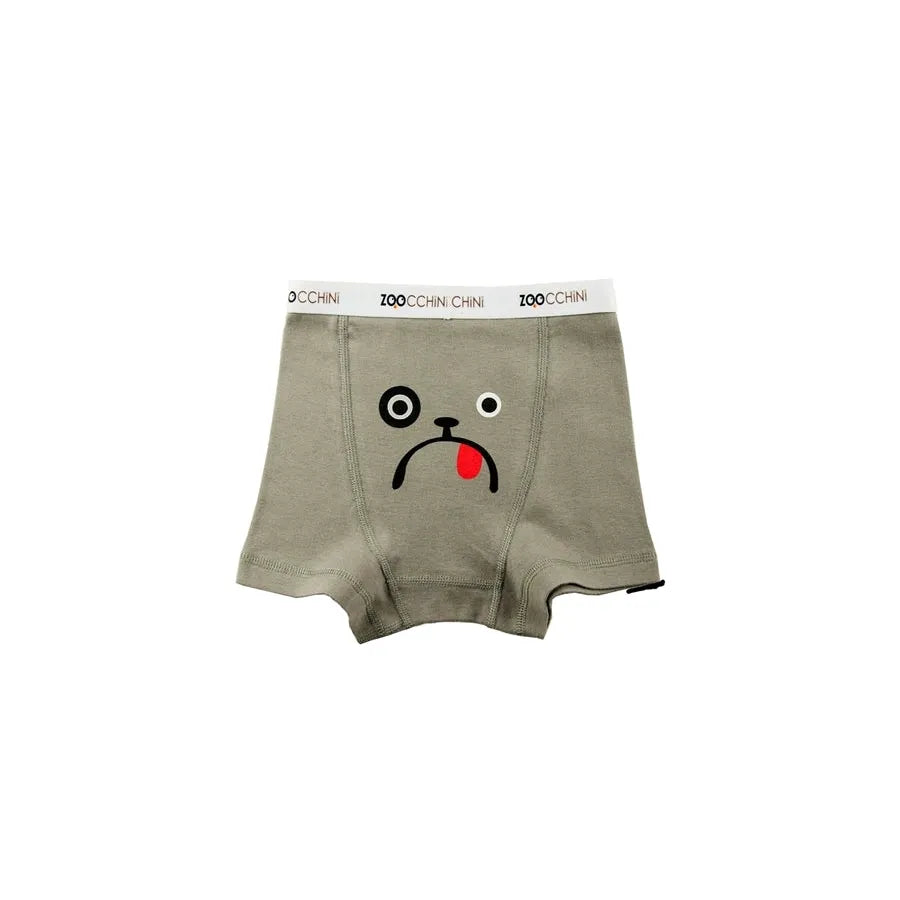 Zoocchini Boxershorts 3er Set Boys aus Bio-Baumwolle (5-6 J.)