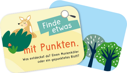Pattloch Meine Schatzsuche in der Natur