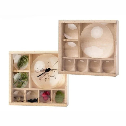 Huckleberry Insektenbox - Mein kleines Museum