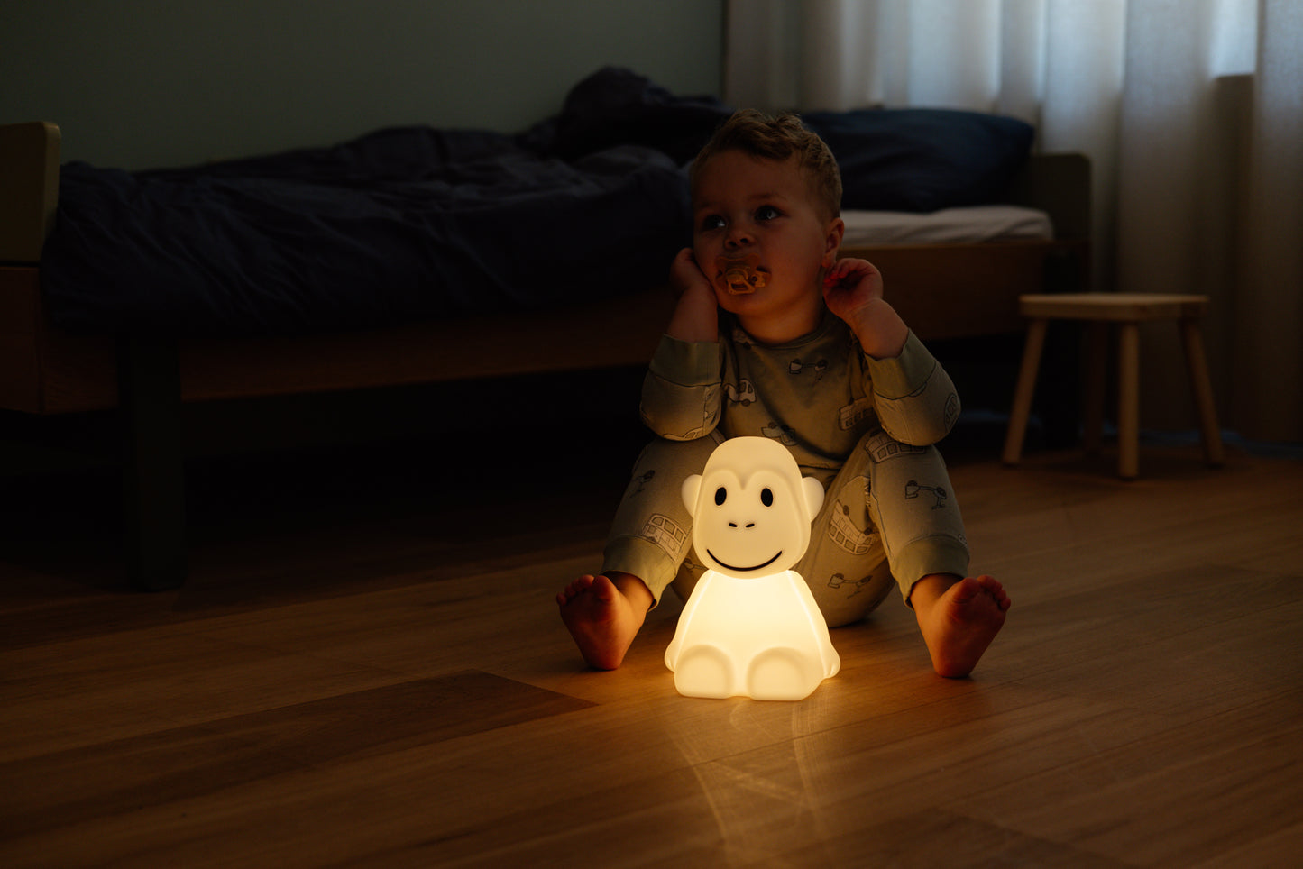 MrMaria First Light monkey