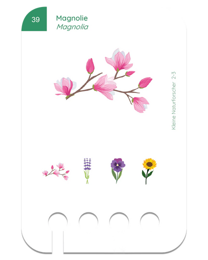 Kölner Lernspielverlag - kleine Naturforscher, 2-3 Jahre